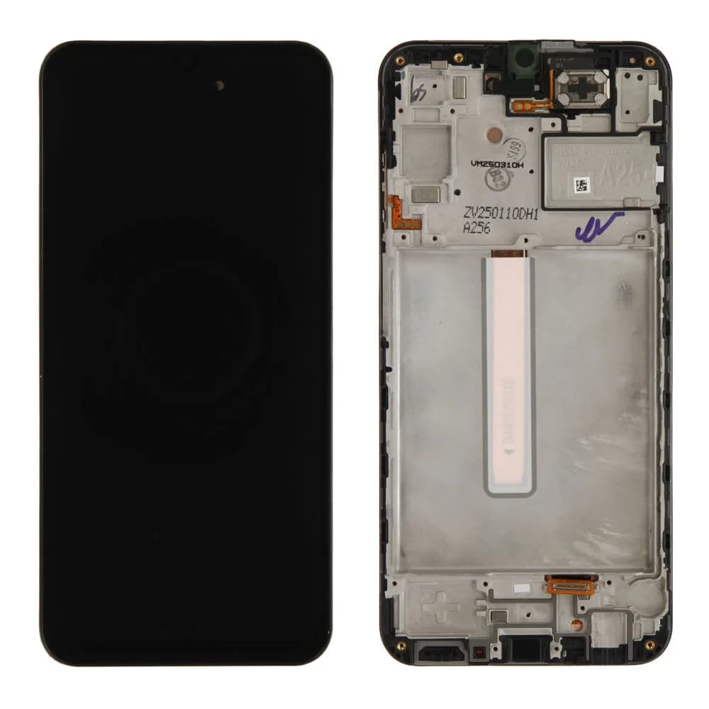 Display Samsung Galaxy A25 (5G) - Original - Black